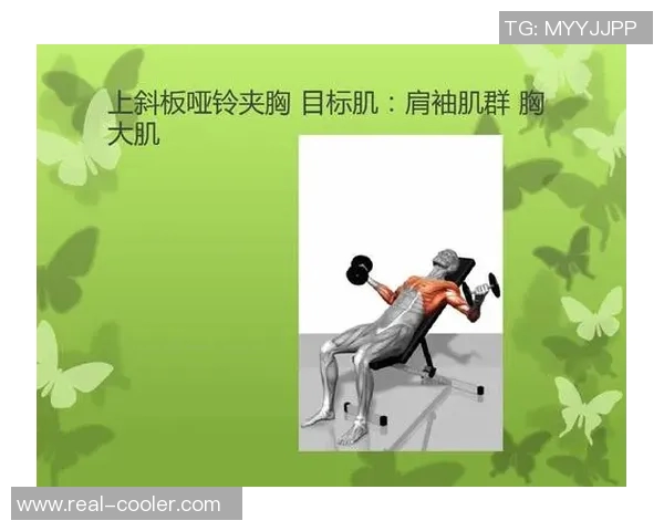 哑铃胸大肌训练方法详解助你塑造完美胸部线条与力量提升